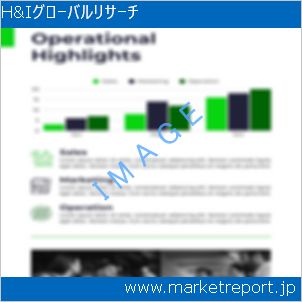 市場と産業調査レポートのイメージ